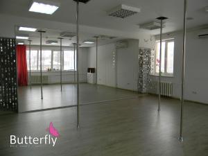 Фотография Butterfly pole dance class 0